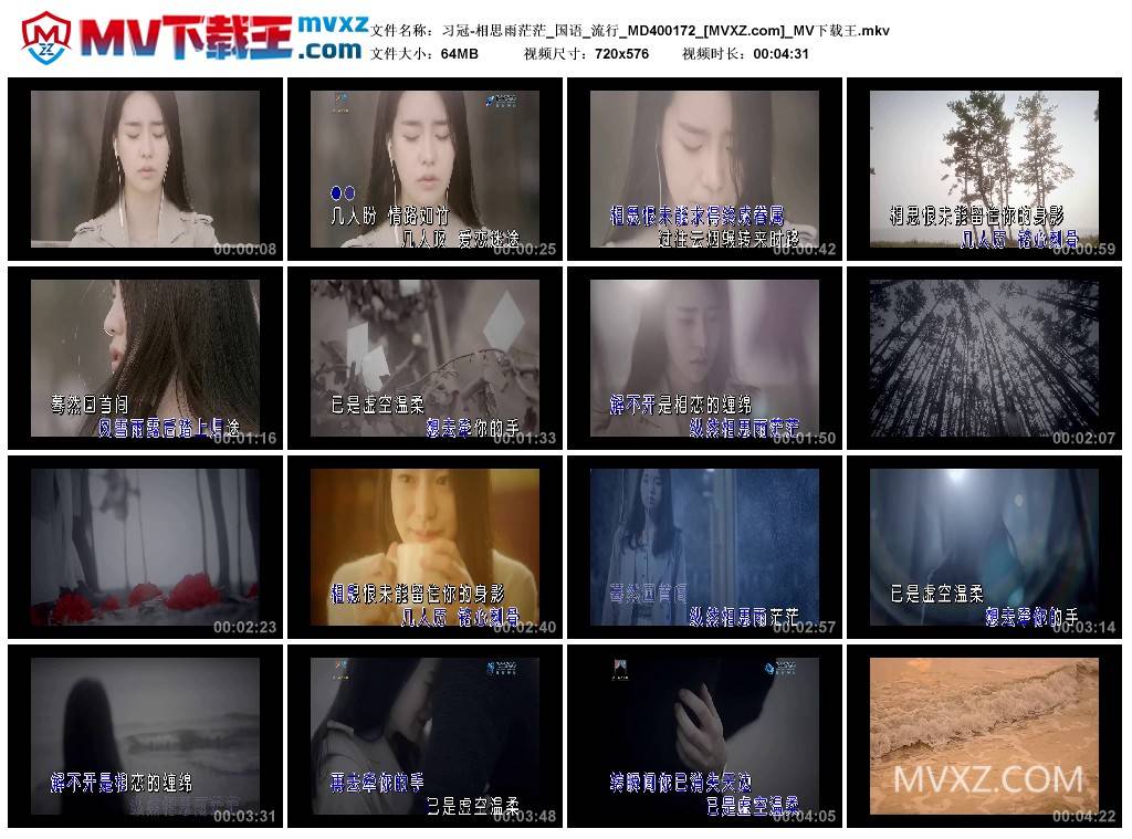 习冠-相思雨茫茫_国语_流行_MD400172